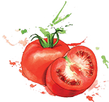 Tomato
